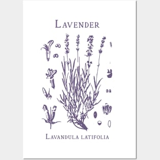 Vintage Lavender 90s Graphic T-Shirt, Retro Lavender Botanical Posters and Art